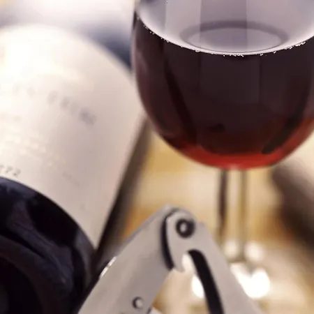 Ibis Rotterdam 호텔 블라르딩겐