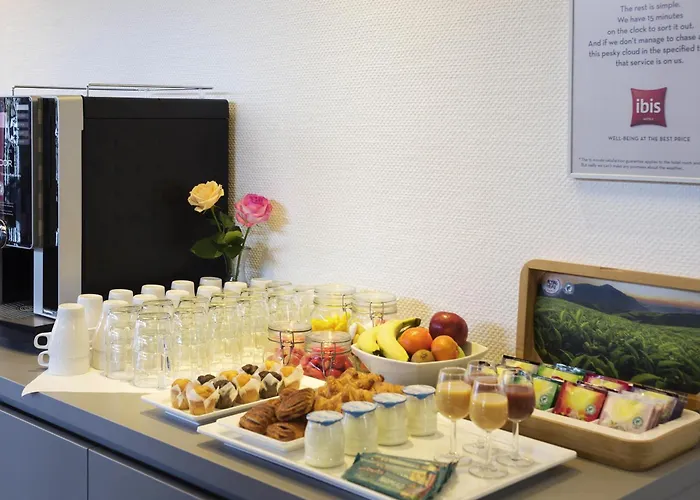 Ibis Rotterdam 호텔 3*