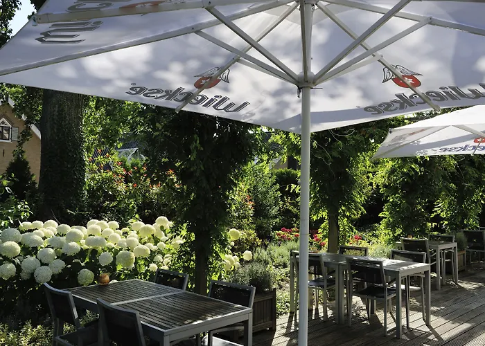 Ibis Rotterdam 호텔