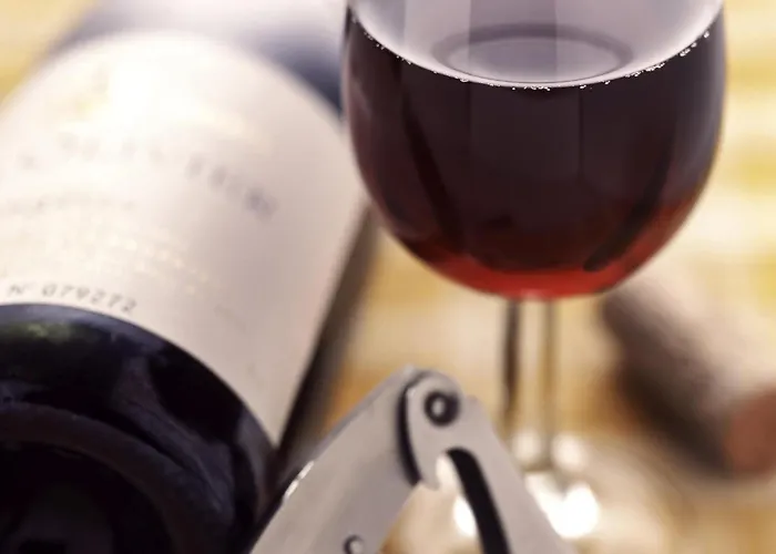 Ξενοδοχείο Ibis Rotterdam Vlaardingen